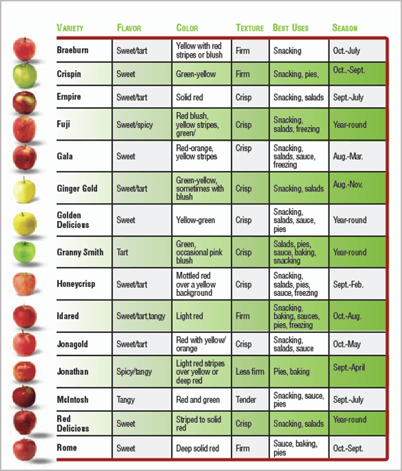 top 15 most popular varieties of apples