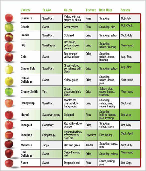 top 15 most popular varieties of apples | @djchuang