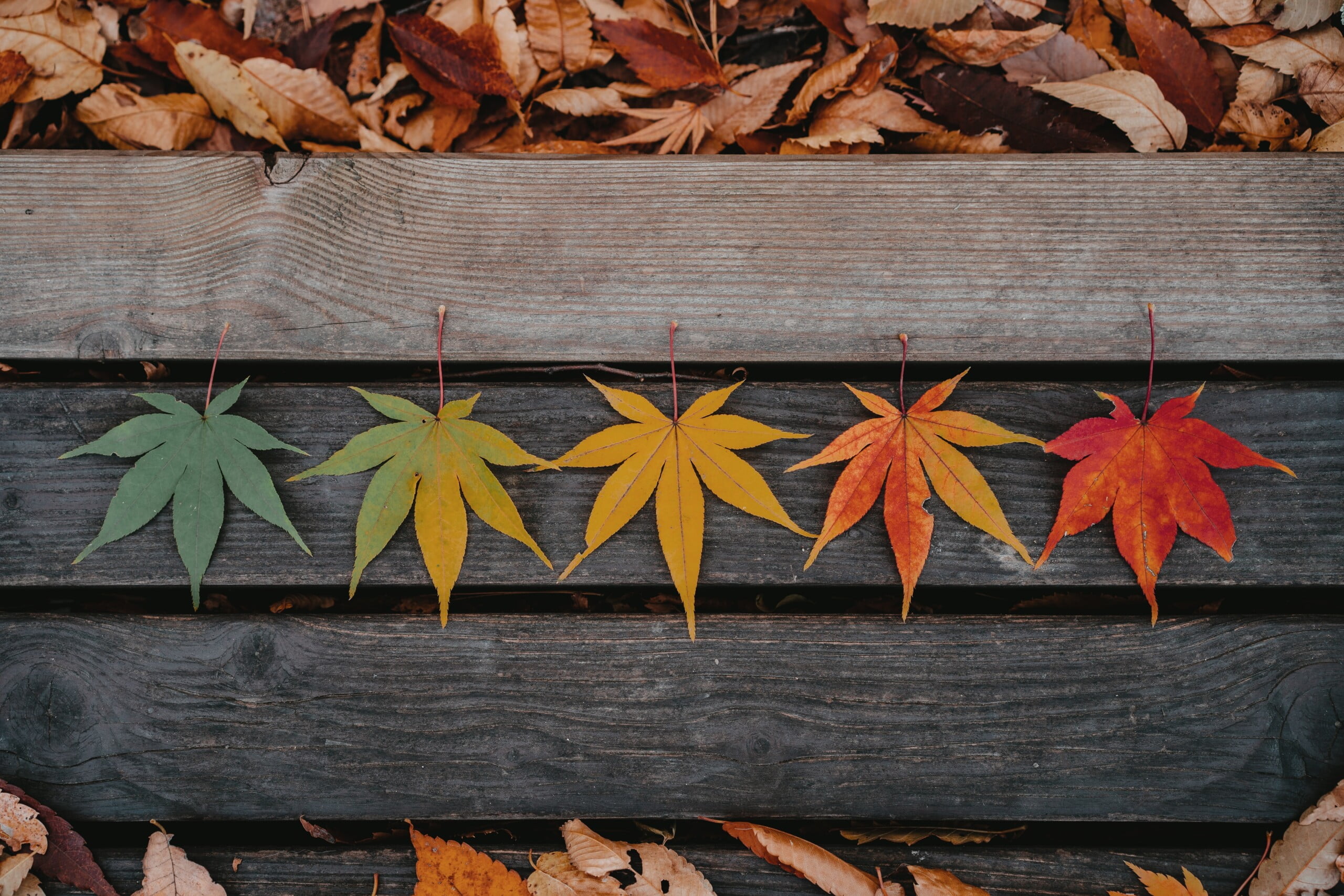 Wisdom for Life Stages, Seasons, and Decades that Many People Go Through